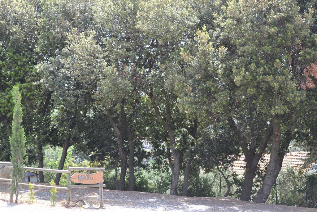 Agriturismo La Ghiraia Santa Luce Exterior photo