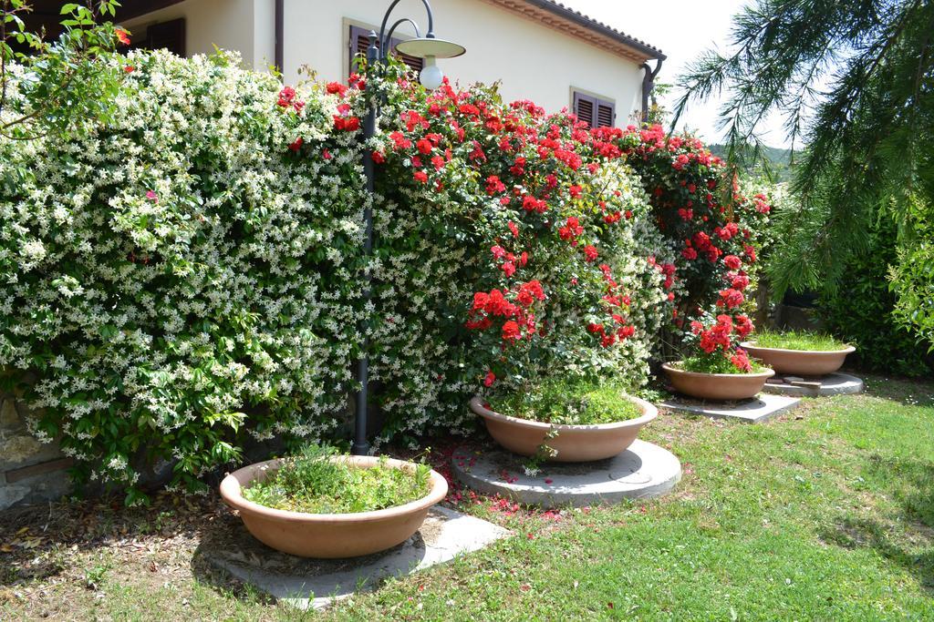 Agriturismo La Ghiraia Santa Luce Exterior photo